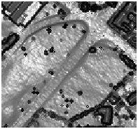 LIDAR survey results of the Burgage, again showing a linear feature running across the smaller Green in direct correlation with the dowsing results (©Southwell Archaeology, 2013)